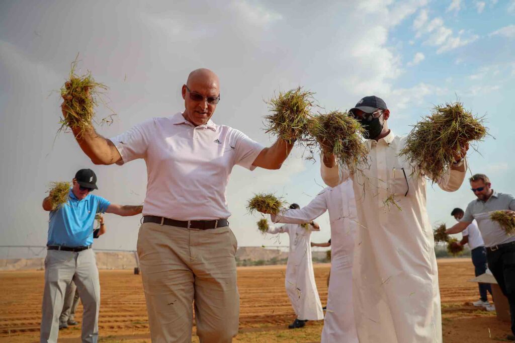 Atlas-Turf-Arabia-Sprigging-Process