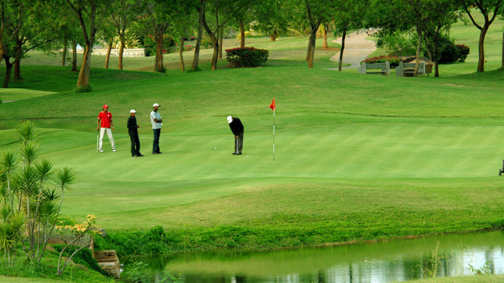 Historic golf club in India improves greens with ultra dwarf bermudagrass