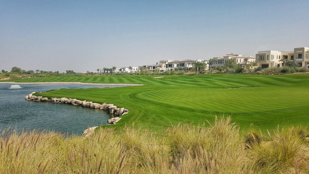 Dubai Hills featuring Pure Dynasty Seeded Paspalum