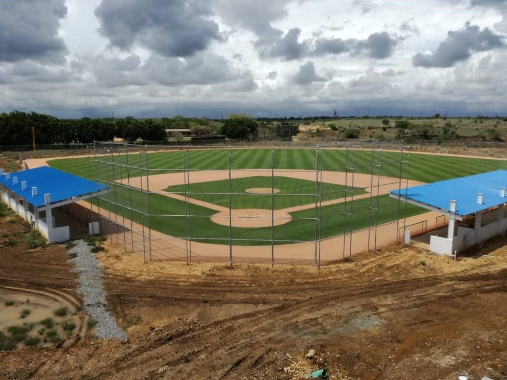 baseball turfgrass