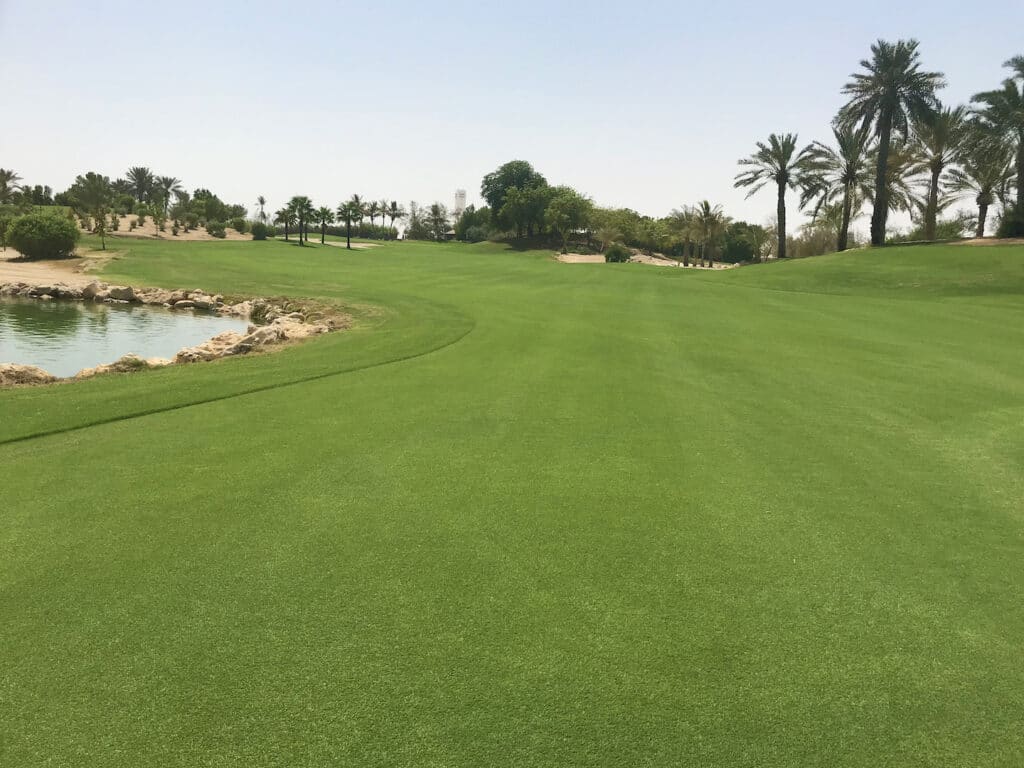 atlas-turf-international-pure-pro-seeded-bermudagrass-JA-the-resort-dubai