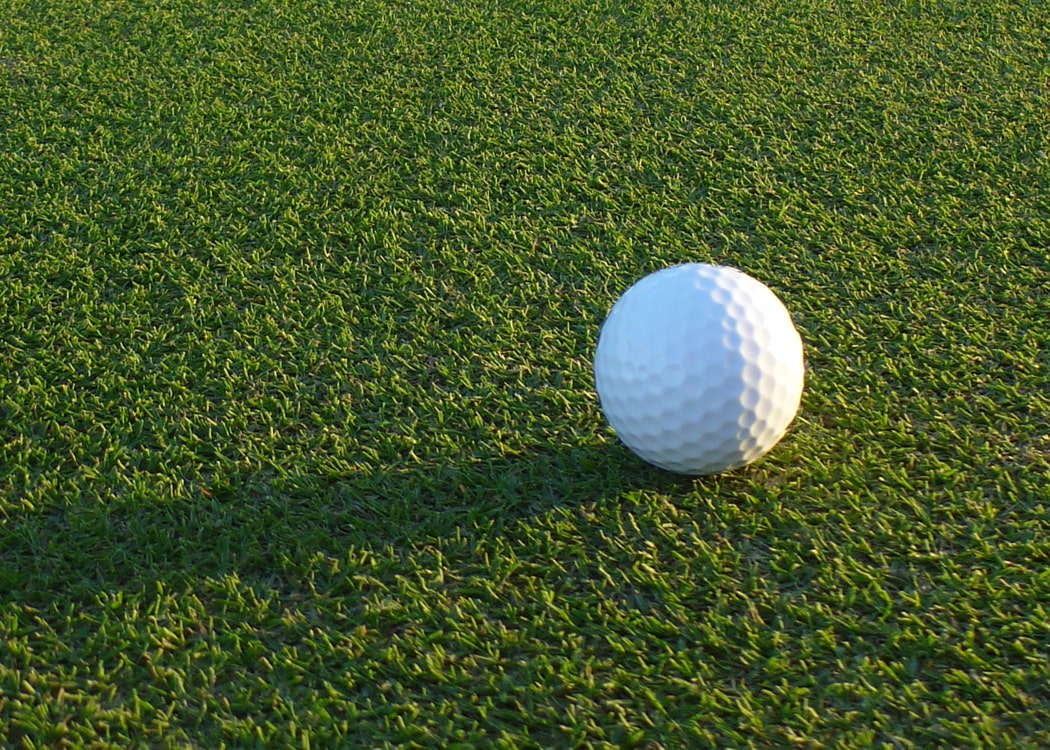Top Golf Bermudagrass Supplier in Southeast Asia Atlas Turf International