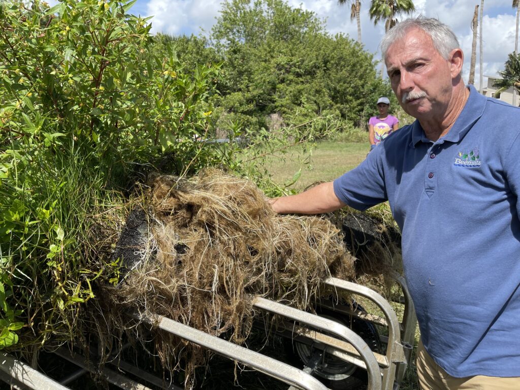 harvesting biomass of floating wetlands 