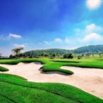 ideal golf turfgrasses for vietnam