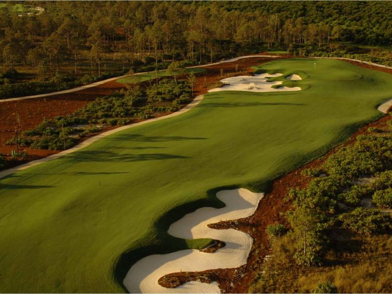 Turf Review: Celebration Bermudagrass® - Atlas Turf International
