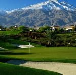 Penn A-1/A-4 Creeping Bentgrass Blend