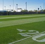 Silver Dollar Perennial Ryegrass
