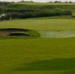 Penncross Bentgrass