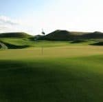Penn A-4 Creeping Bentgrass