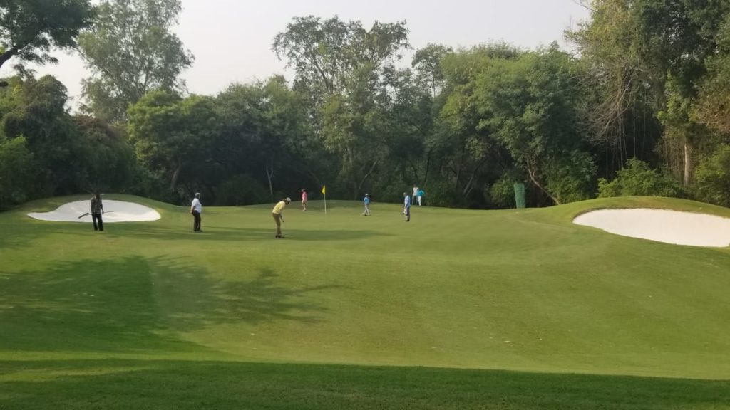 improved golf greens at delhi golf club with miniverde ultra dwarf bermudagrass