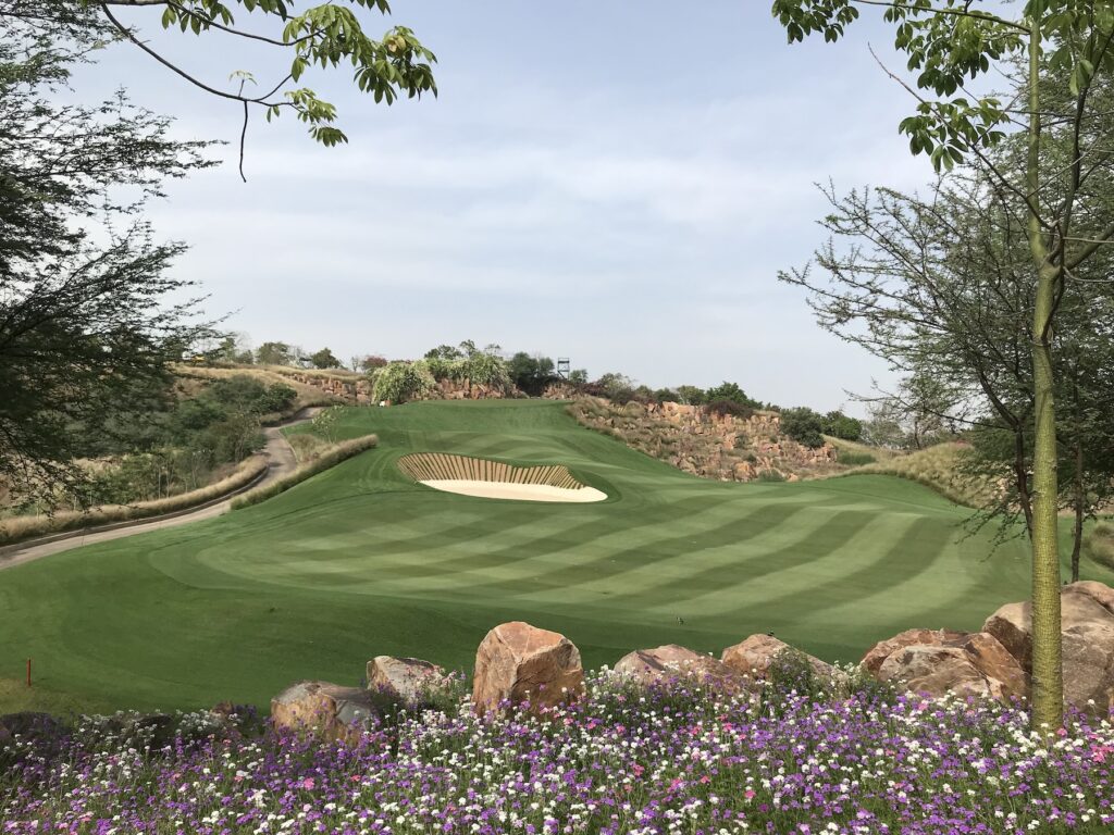 dlf-golf-india-celebration-bermudagrass-atlas-turf-international