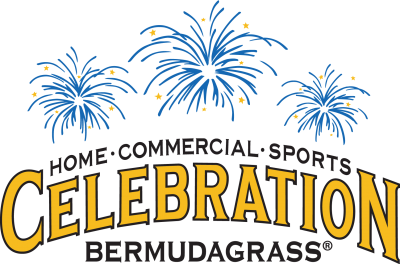 Celebration-Bermudagrass