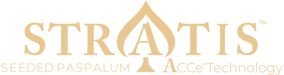 STRATIS Seeded Paspalum with ACCe Technology logo