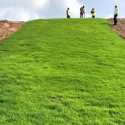 Seeding banks and slopes controls erosion and sedimentation.