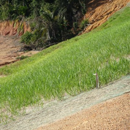 Grassing slopes and embankments with erosion control fabrics and seed assists with germination and soil stabilization.