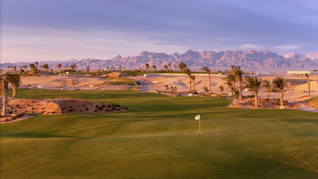 egypt sustainable turfgrass