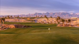 egypt sustainable turfgrass