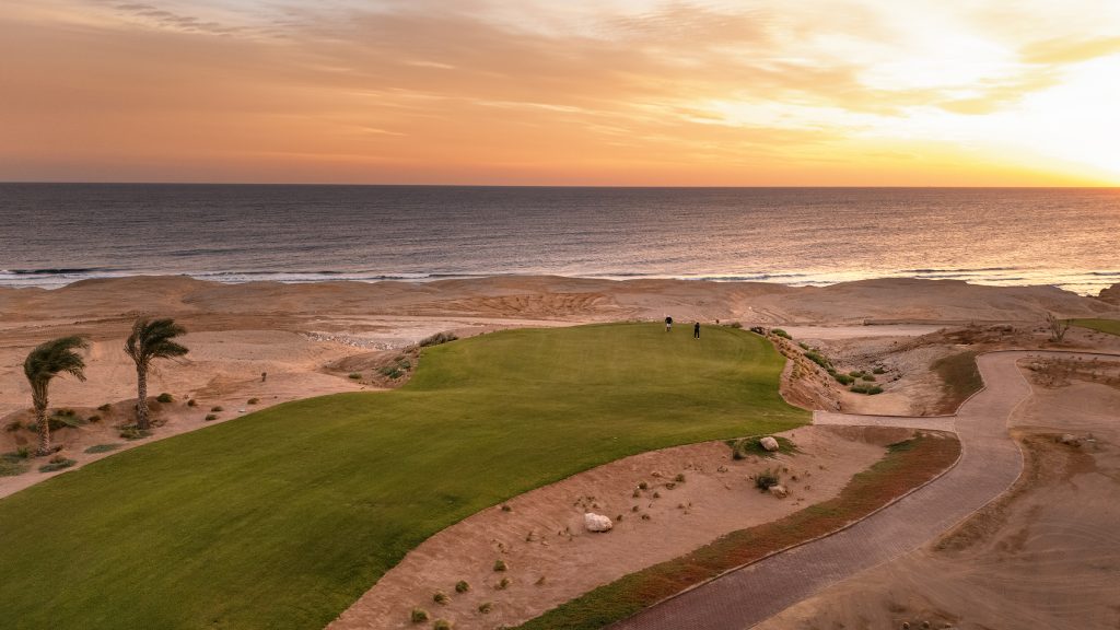 sustainable turfgrass egypt