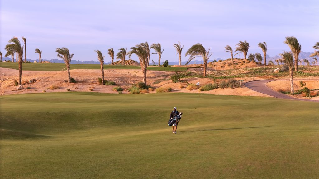 hidden coves egypt sustainable turfgrass