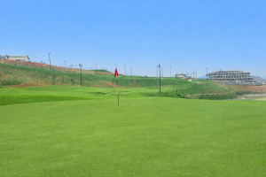 mach-1-ultradwarf-bermuda-greens-montana-golf-north-vietnam-atlas-turf-international.7