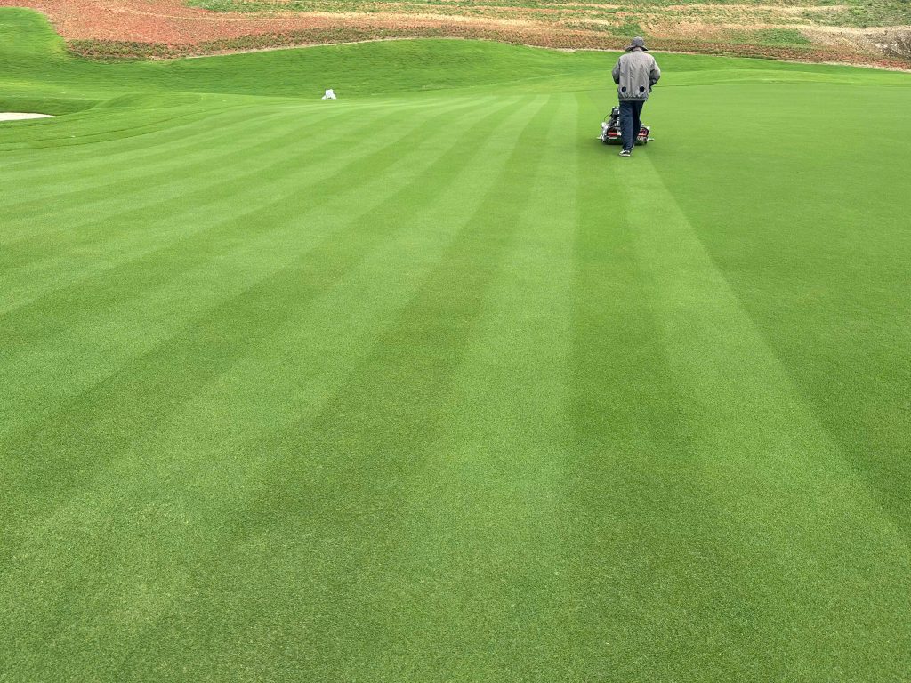 mach-1-ultradwarf-bermuda-greens-montana-golf-north-vietnam-atlas-turf-international.3