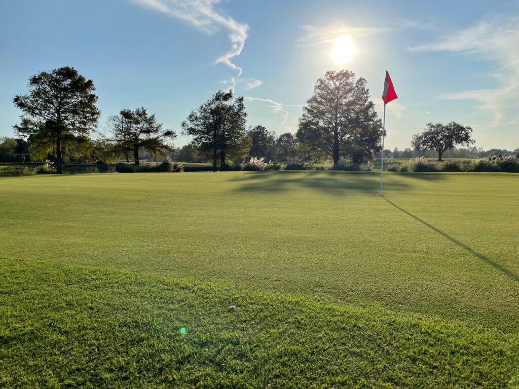 mach-1-ultradwarf-bermudagrass-english-turn-golf-and-country-club