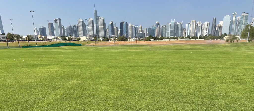 montgomerie-golf-club-dubai-north-shore-slt-seeded-bermudagrass-atlas-turf-pure-seed