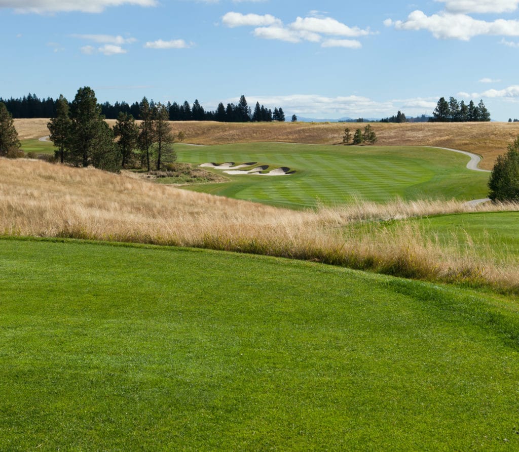 native grass for golf courses