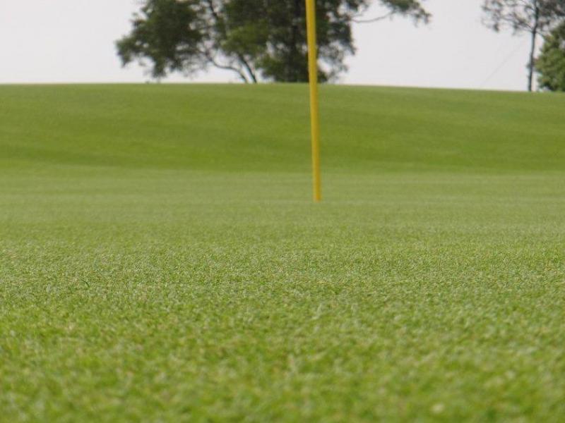 Paspalum is the sustainable turfgrass solution for golf and sports fields.