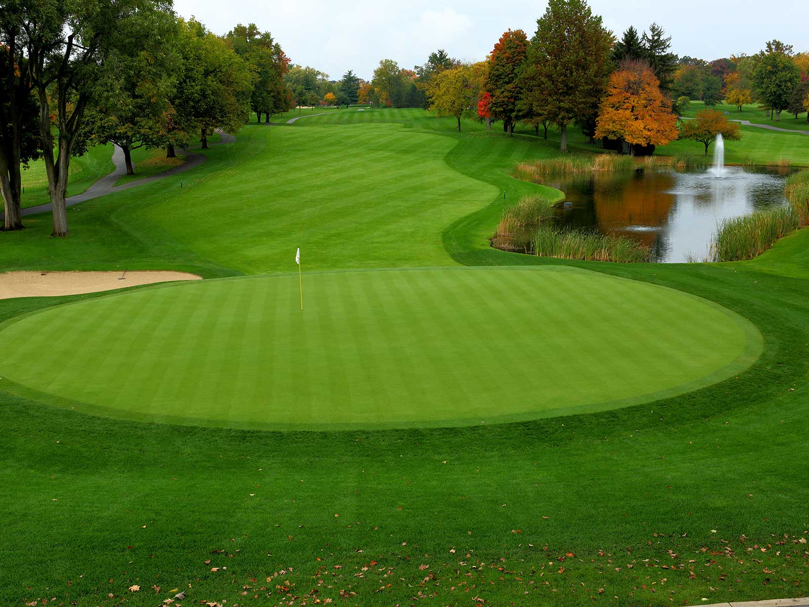 pure-distinction-bentgrass-fortwayne-country-club-greens-penncross-fairways-pure-seed