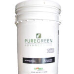 PureGreen Creeping Bentgrass