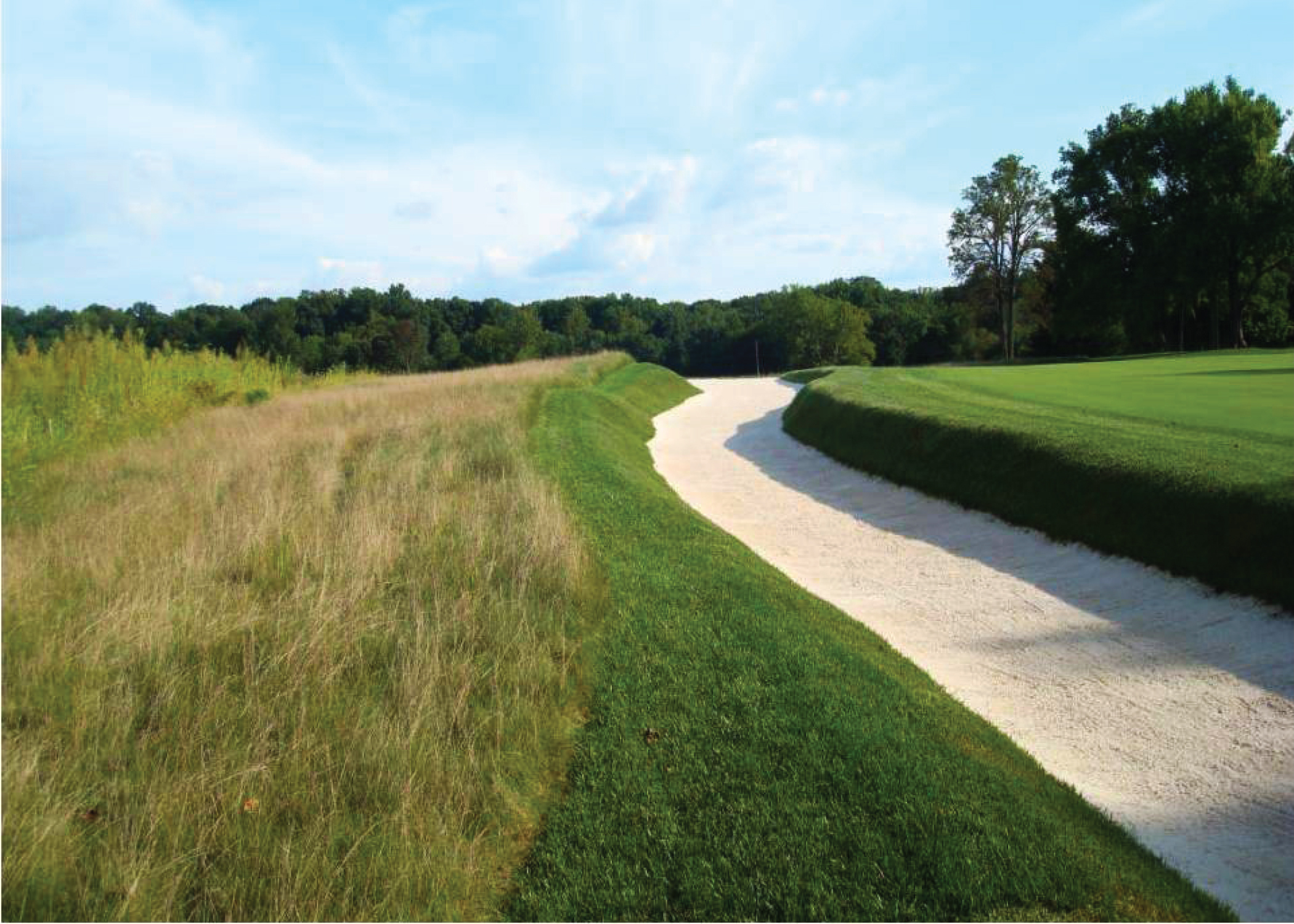 rain-dance-tall-fescue-pure-seed