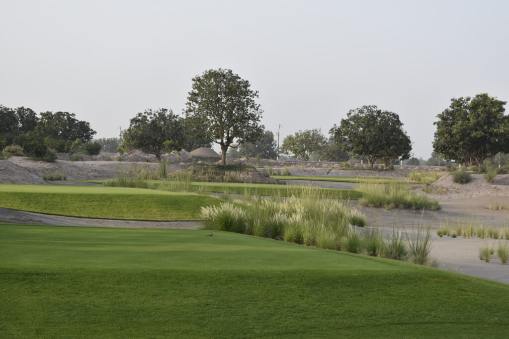 Pakistan turfgrass at Rumanza