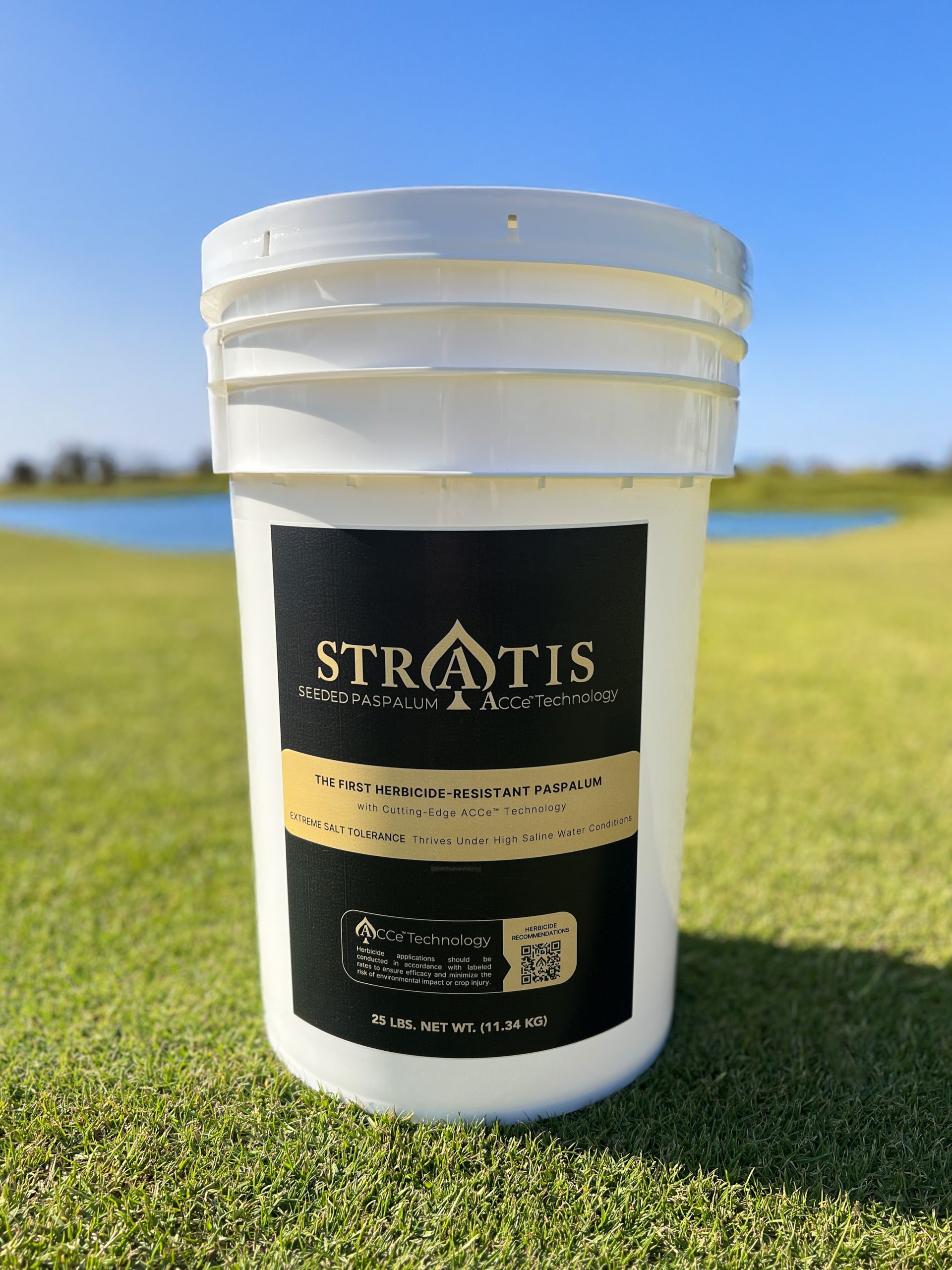 stratis-seeded-paspalum-with-ACCe-technology