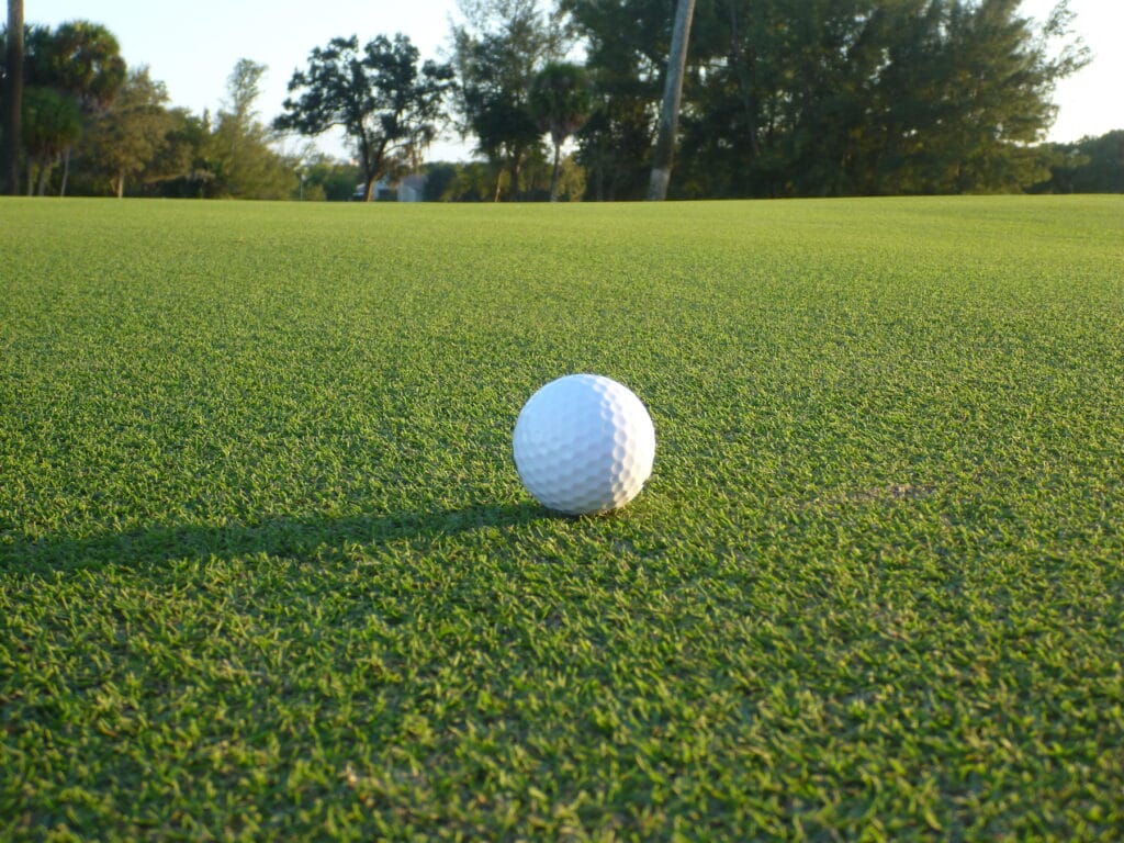 sunday-ultra-dwarf-bermudagrass-putting-greens-atlas-turf-international