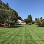 Rain Dance Tall Fescue