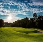 SunGold Premium Tall Fescue Brand