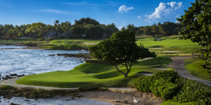teeth-of-the-dog-golf-course-casa-de-campo-pure-dynasty-seeded-paspalum-atlas-turf-international-pure-seed