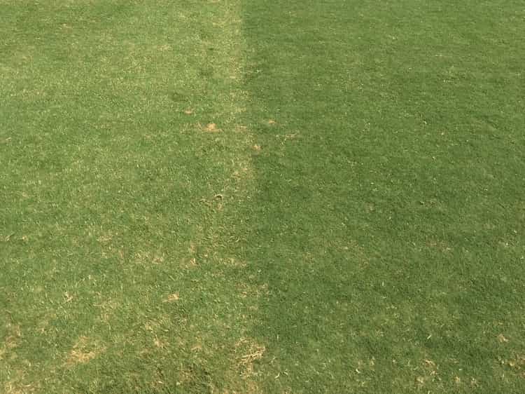What Does Advanced Turfgrass At The Next Level Look Like What Does Advanced Turfgrass At The Next Level Look Like