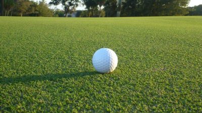 Paspalum Uses Advantages And Costs Atlas Turf International Paspalum Uses Advantages And Costs